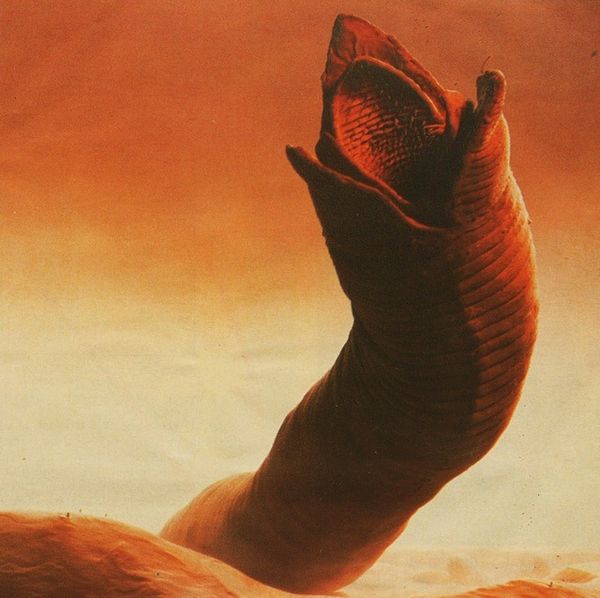 sand_worm_ae5628c739bc474bafd880717182be8e_grande Fengxi