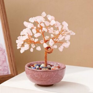 Cây Thạch Anh Mang Lại Nguồn Năng Lượng Tích Cực Và May Mắn