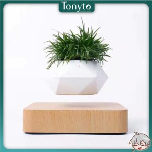 Chậu Cây Cảnh Lơ Lửng Nhờ Từ Tính, Chậu Cây Sen Đá, Chậu Bonsai Đẹp, Độc Lạ Dùng Decor Bàn Làm Việc, Phòng Khách