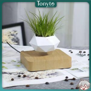 Chậu Cây Cảnh Lơ Lửng Nhờ Từ Tính, Chậu Cây Sen Đá, Chậu Bonsai Đẹp, Độc Lạ Dùng Decor Bàn Làm Việc, Phòng Khách
