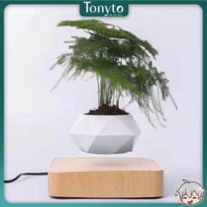 Chậu Cây Cảnh Lơ Lửng Nhờ Từ Tính, Chậu Cây Sen Đá, Chậu Bonsai Đẹp, Độc Lạ Dùng Decor Bàn Làm Việc, Phòng Khách