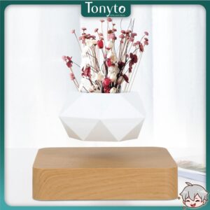 Chậu Cây Cảnh Lơ Lửng Nhờ Từ Tính, Chậu Cây Sen Đá, Chậu Bonsai Đẹp, Độc Lạ Dùng Decor Bàn Làm Việc, Phòng Khách
