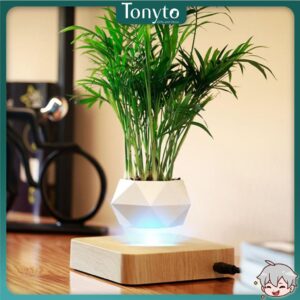 Chậu Cây Cảnh Lơ Lửng Nhờ Từ Tính, Chậu Cây Sen Đá, Chậu Bonsai Đẹp, Độc Lạ Dùng Decor Bàn Làm Việc, Phòng Khách